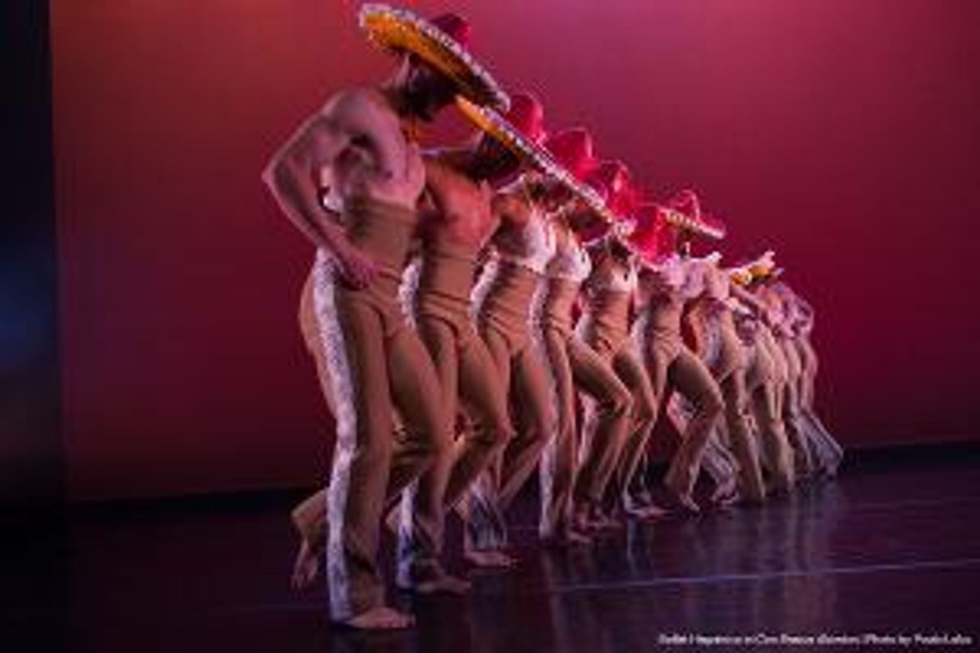 Ballet Hispánico Continues Spring 2021 Series Of Community Arts Partnerships & Virtual Education Initiatives  Image