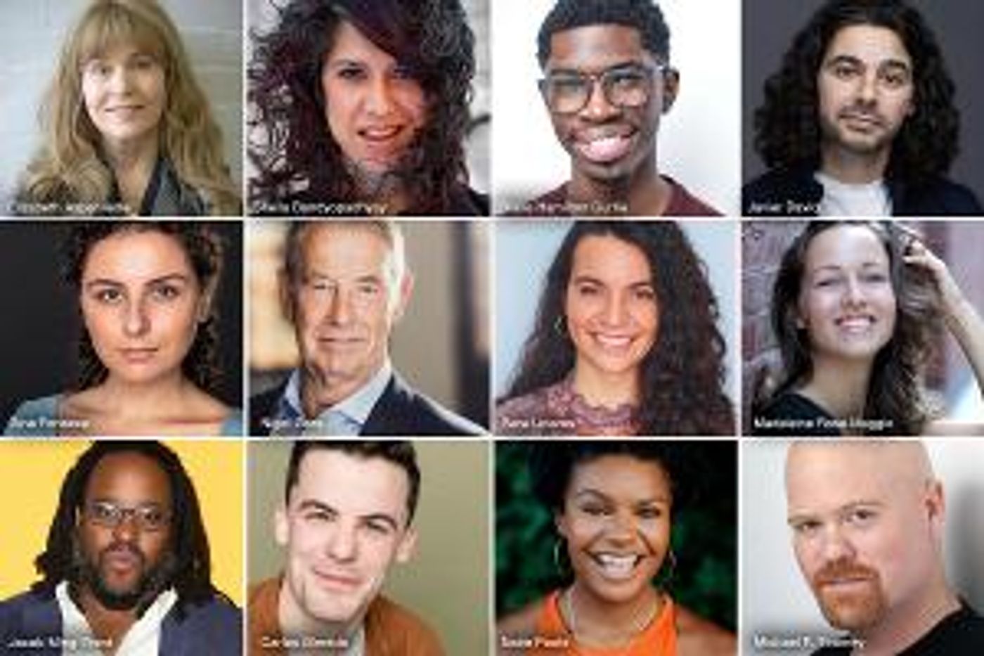 Cast Set for A MIDSUMMER NIGHT'S DREAM at Shakespeare & Company  Image