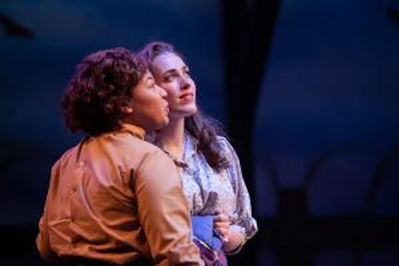 The Mac-Haydn Theatre to Reopen its Doors for Live
Performances July 29  Image