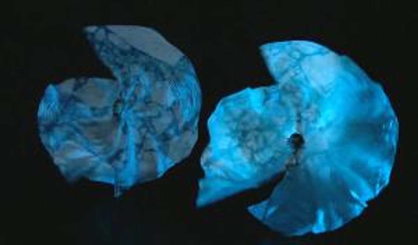 Jody Sperling/Time Lapse Dance Returns To The Stage With Show In Philadelphia  Image