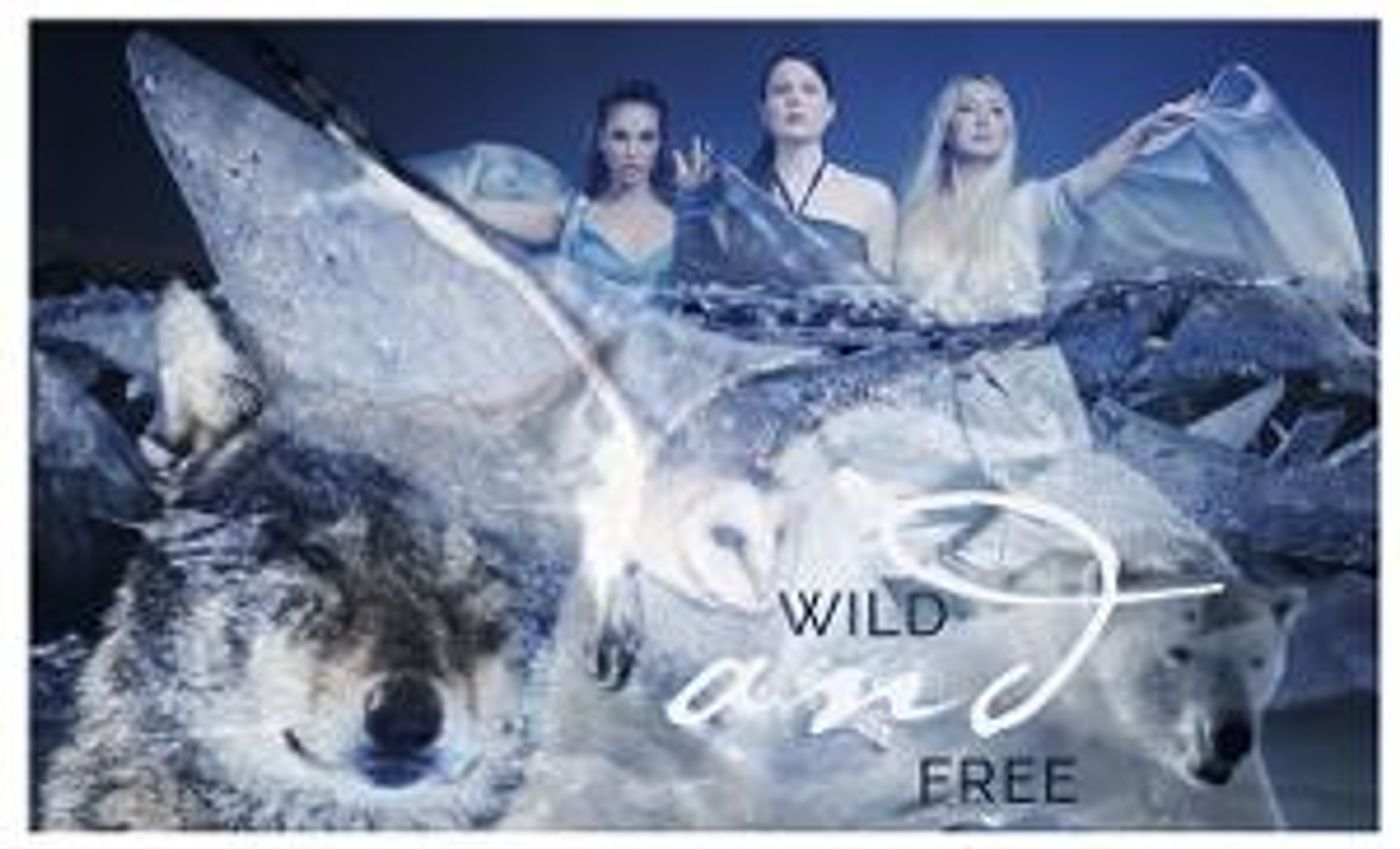 With Multi-Platinum Producer Ryan Louder, ViVA TRIO Are “Wild And Free” In Stunning, Cinematic New Single  Image