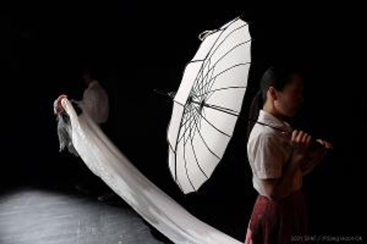 WHITE WAVE Dance to Present the 21st Annual Virtual Dumbo Dance Festival  Image