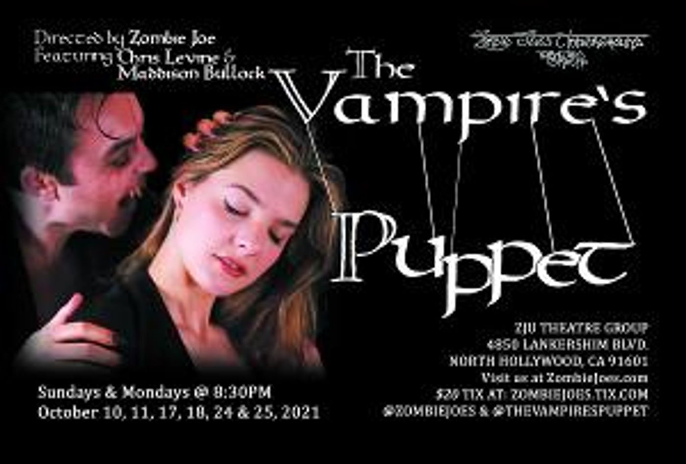 THE VAMPIRE'S PUPPET to Open at Zombie Joe's Underground Theatre Group  Image