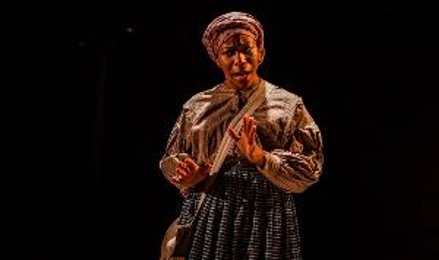 Lorene Cary's MY GENERAL TUBMAN Extends At Arden Theatre Company  Image