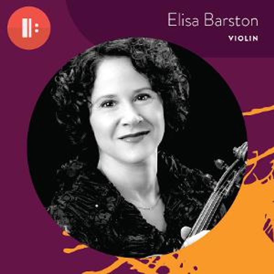 Bellingham Symphony Orchestra to Present Brahms' Violin, Schumann At The Mount Baker Theatre Image