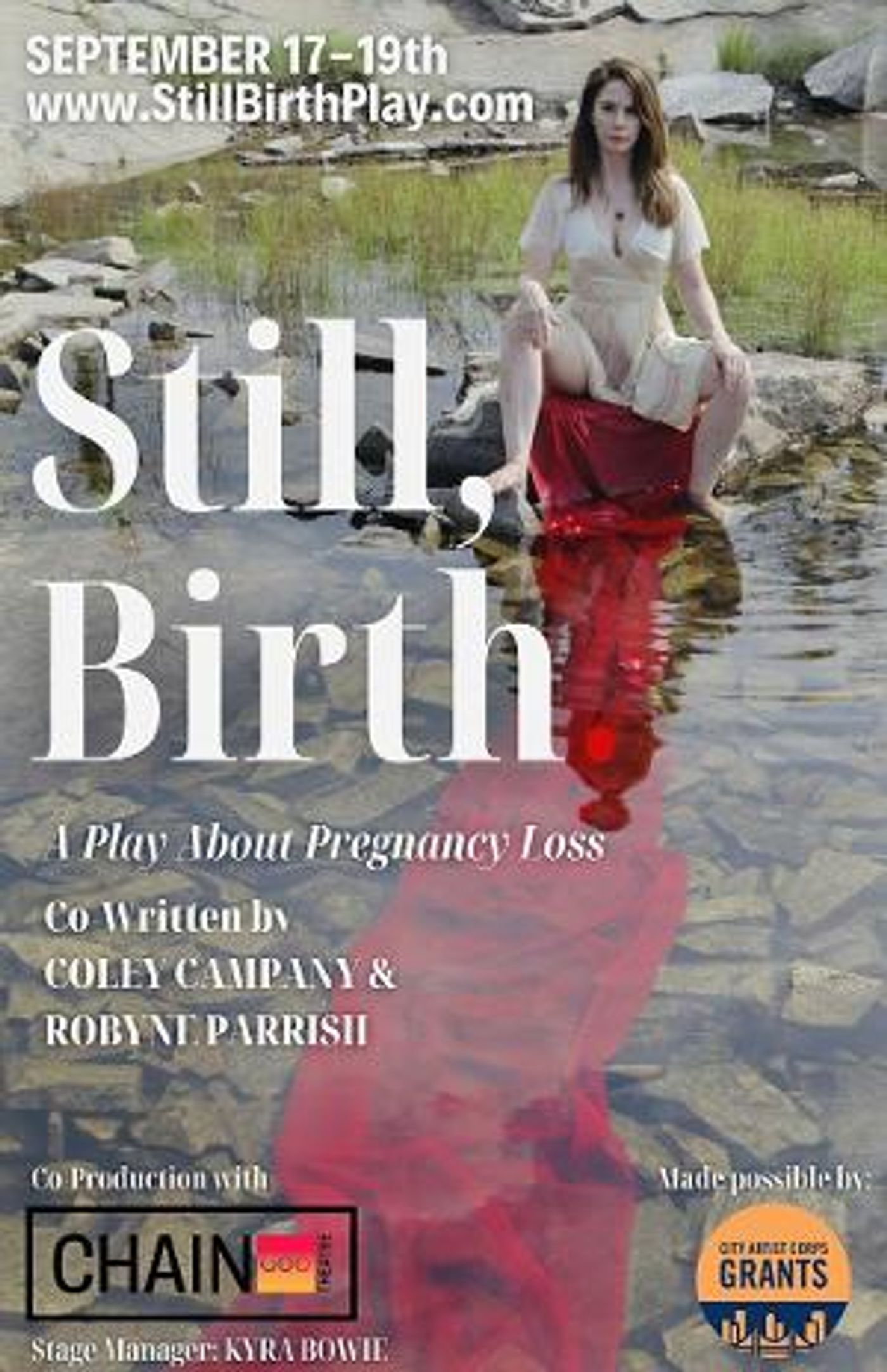 Playful Substance Members Join The Cast Of STILL BIRTH Co-Produced By The Chain Theatre  Image
