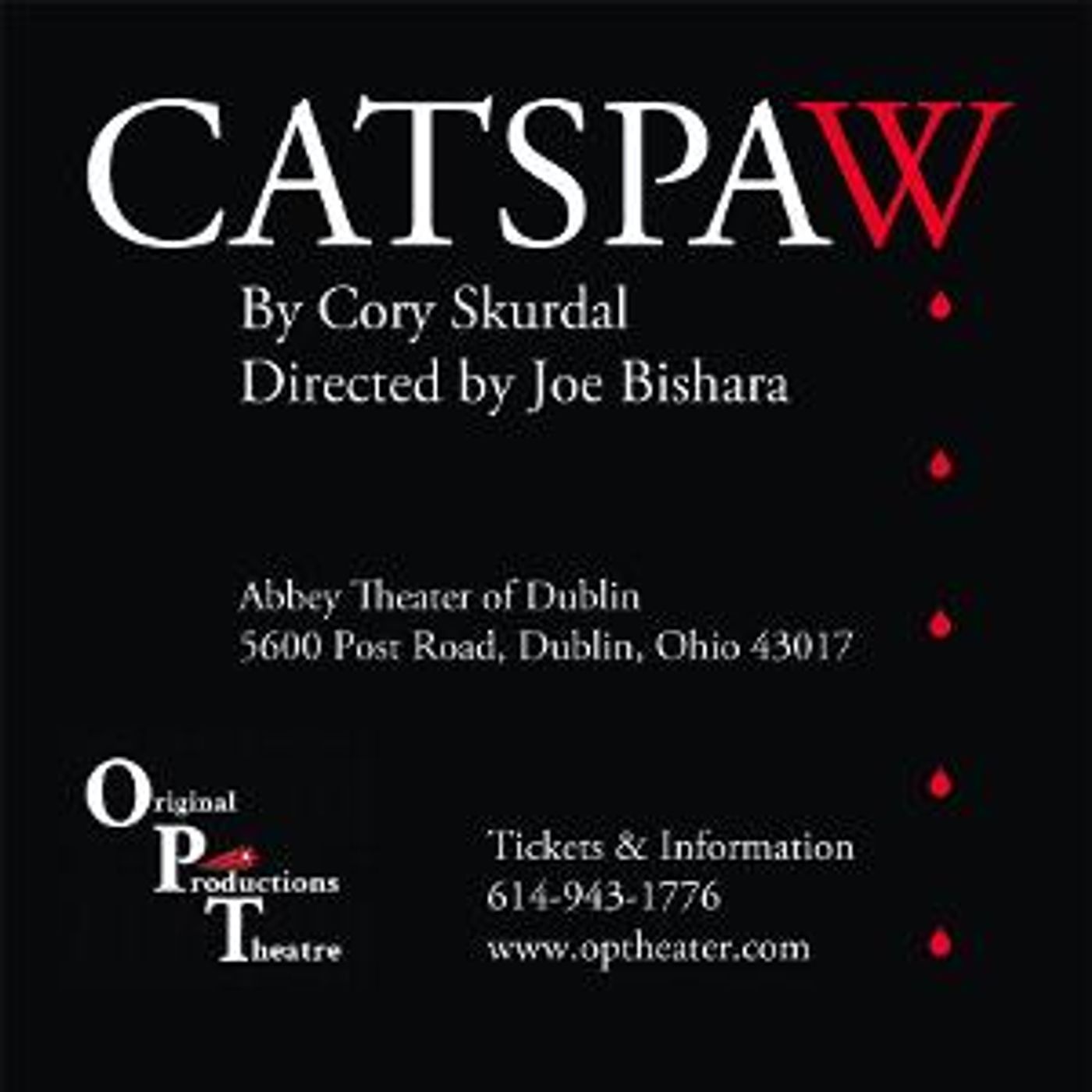 Original Productions Theatre to Present the Regional Premiere of CATSPAW  Image