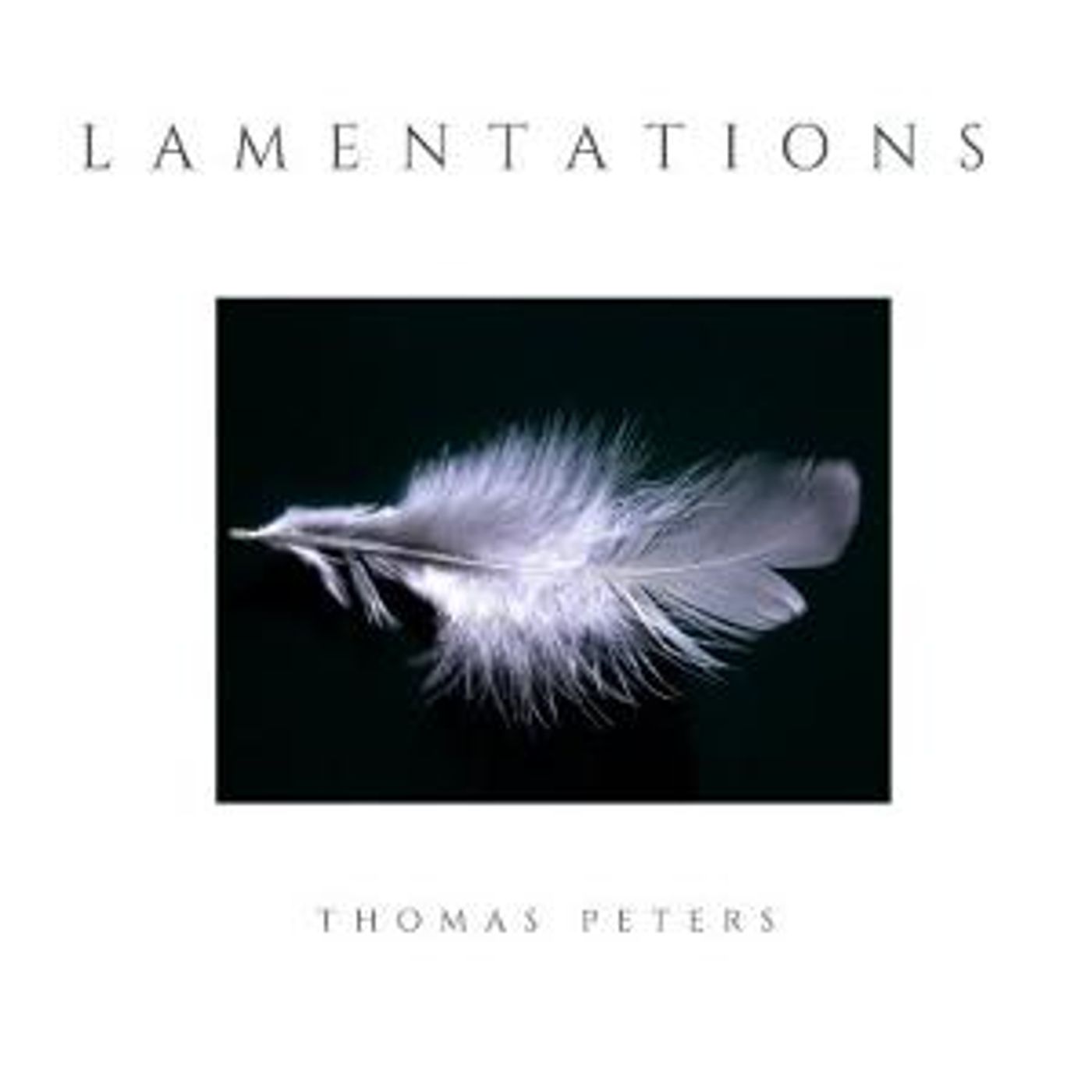 Composer And Performer Thomas Peters Breaks The Silence With LAMENTATIONS  Image