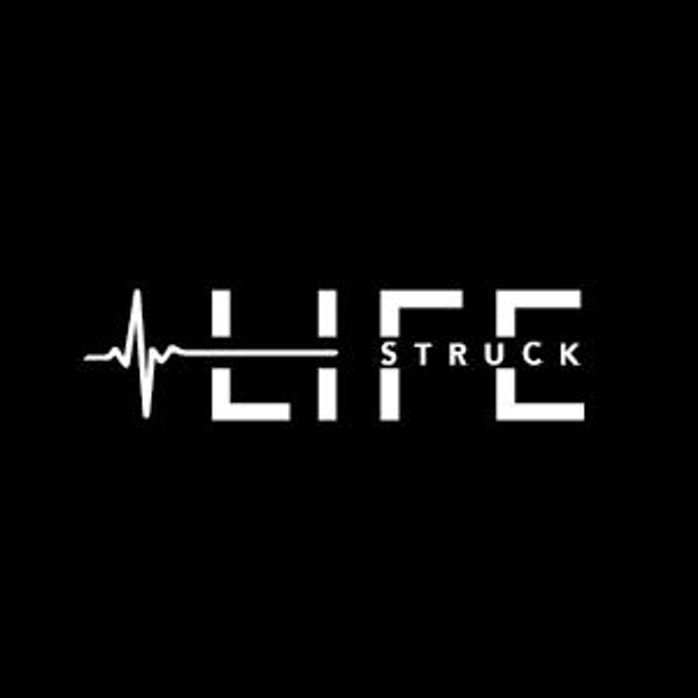 Life-Struck Play At The Sonnet Theatre At The Producers Club  Image