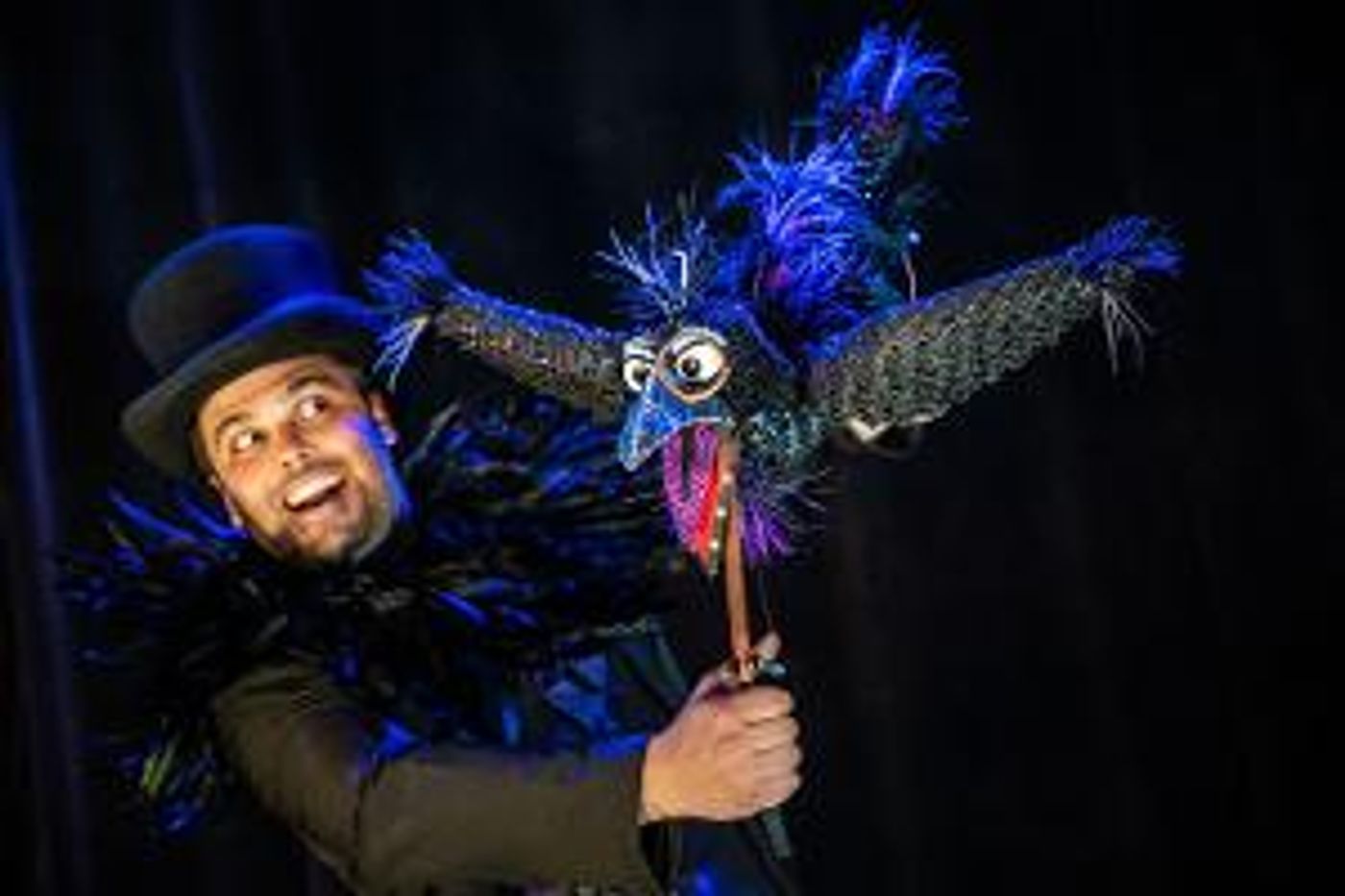 Fringe Hit THE FAMILY CROW: A Murder Mystery To Tour Ontario This Halloween Season  Image