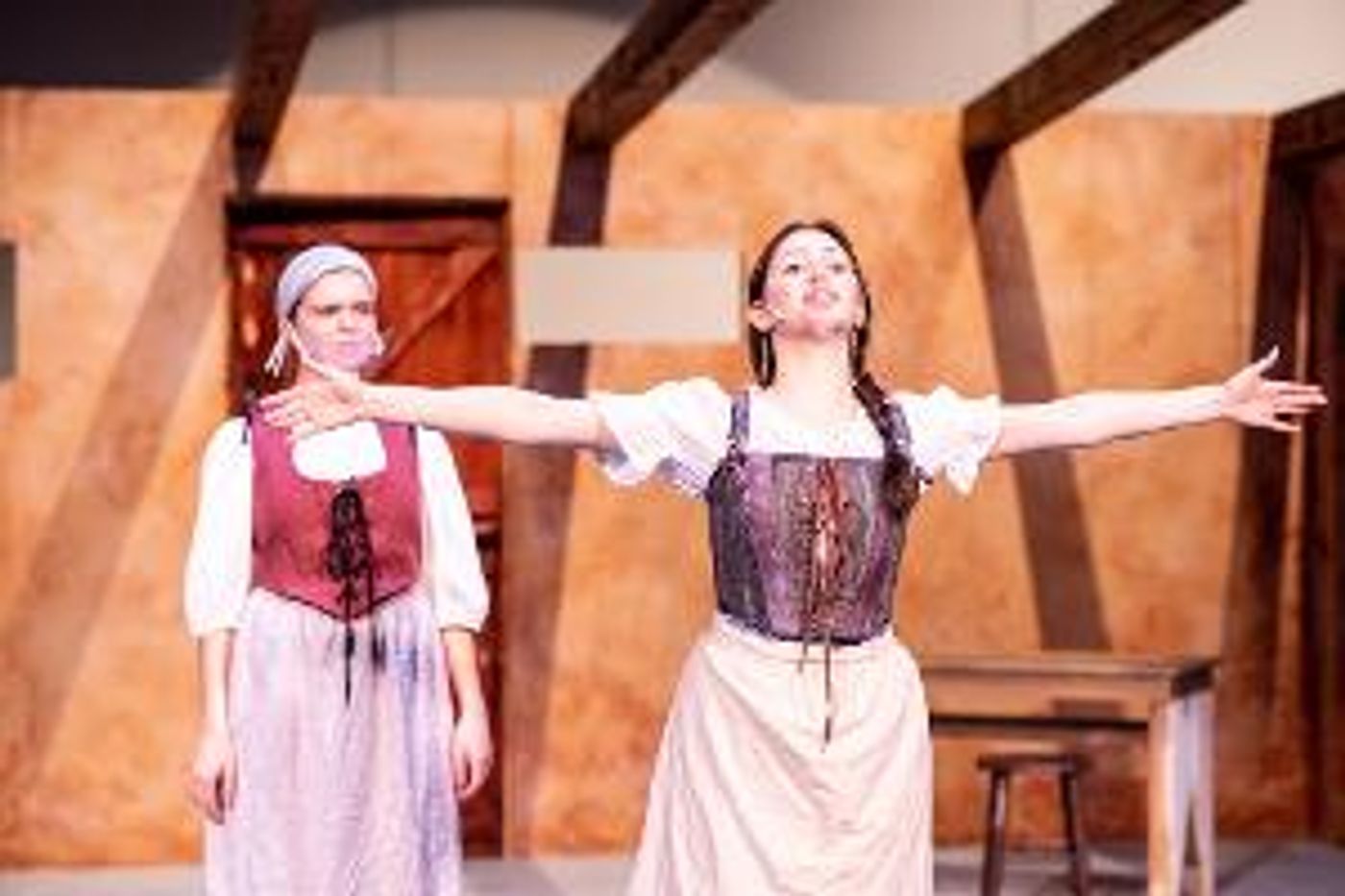 The Lehigh Valley Charter High School For The Arts Theatre Department To Present MOTHER OF THE MAID  Image