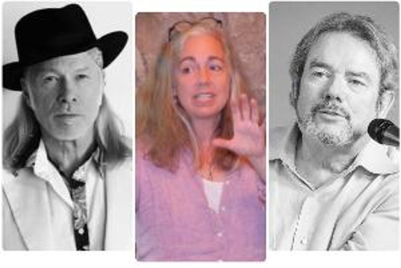 Long Island Music Hall Of Fame Inductees Elliott Murphy & Jimmy Webb Up Next On Tom Needham's SOUNDS OF FILM  Image