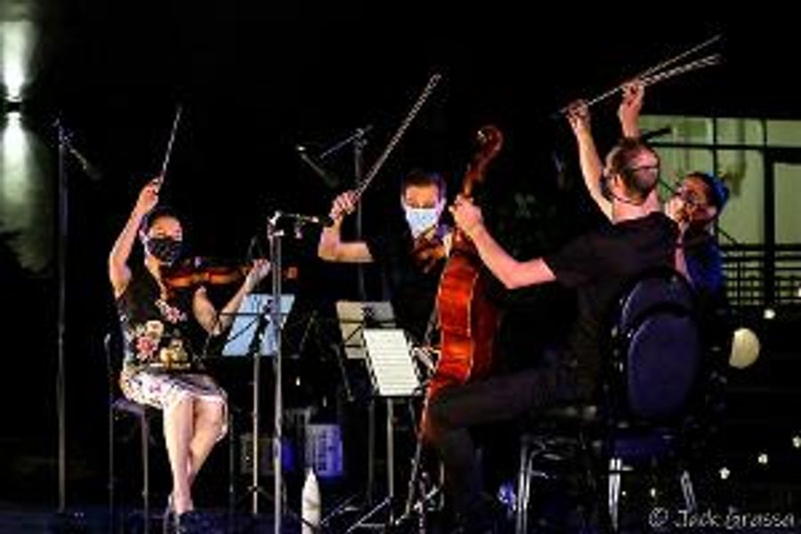 Tesla Quartet to Return To The Morris Museum's Lot Of Strings Music Festival Image