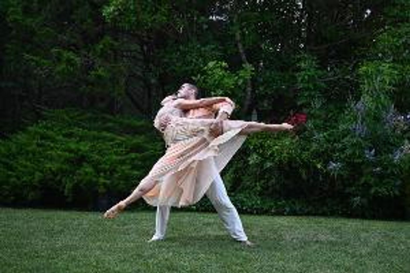 Amanda Selwyn Dance Theatre to Present GREEN AFTERNOON IX  Image