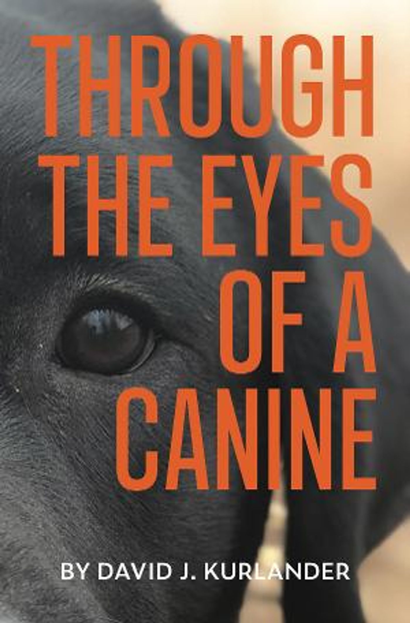 David J. Kurlander Releases Debut Book THROUGH THE EYES OF A CANINE  Image