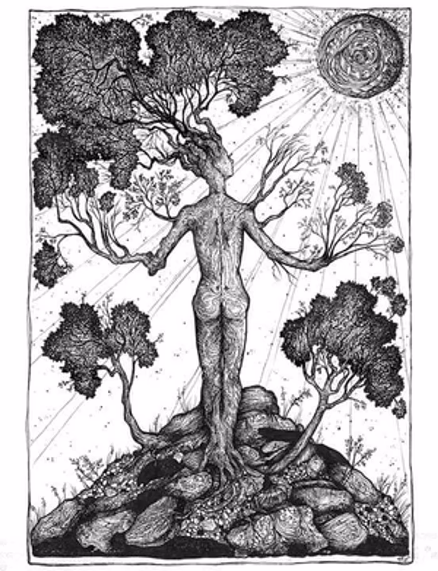 Trans Opera MICHIGAN TREES Comes To NYC For One Night Only  Image