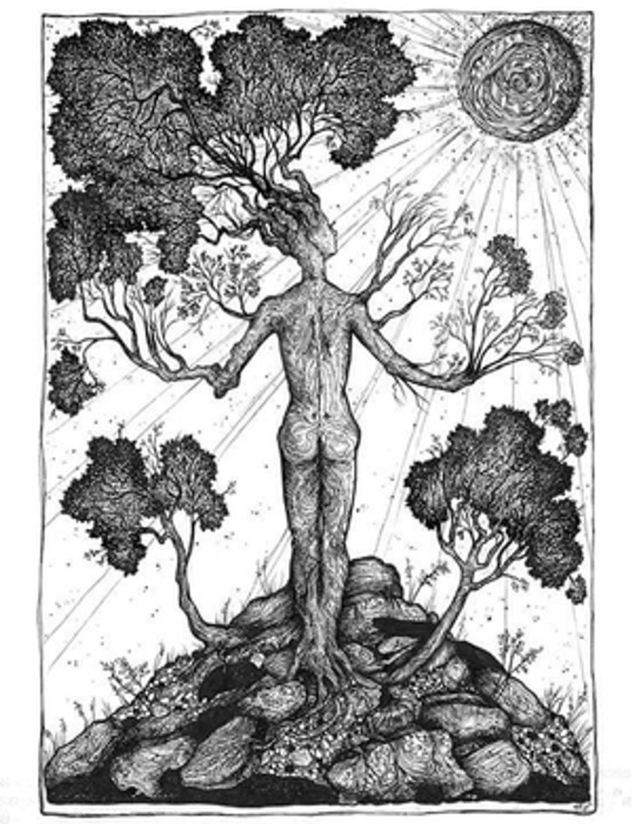 Trans Opera MICHIGAN TREES Comes To NYC For One Night Only Image