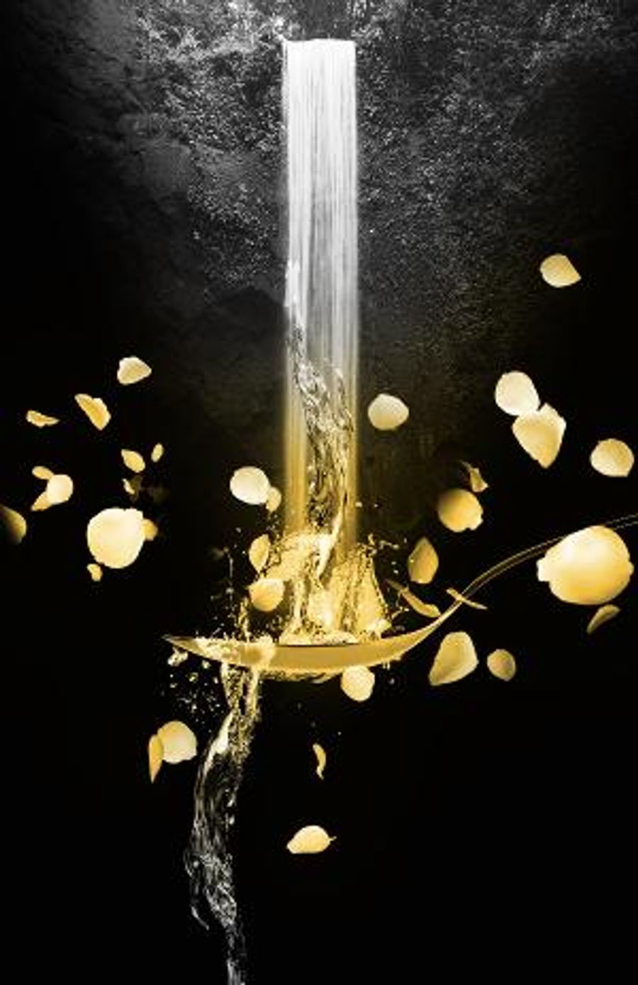 KSU's Theatre and Performance Studies To Present WATER BY THE SPOONFUL Image