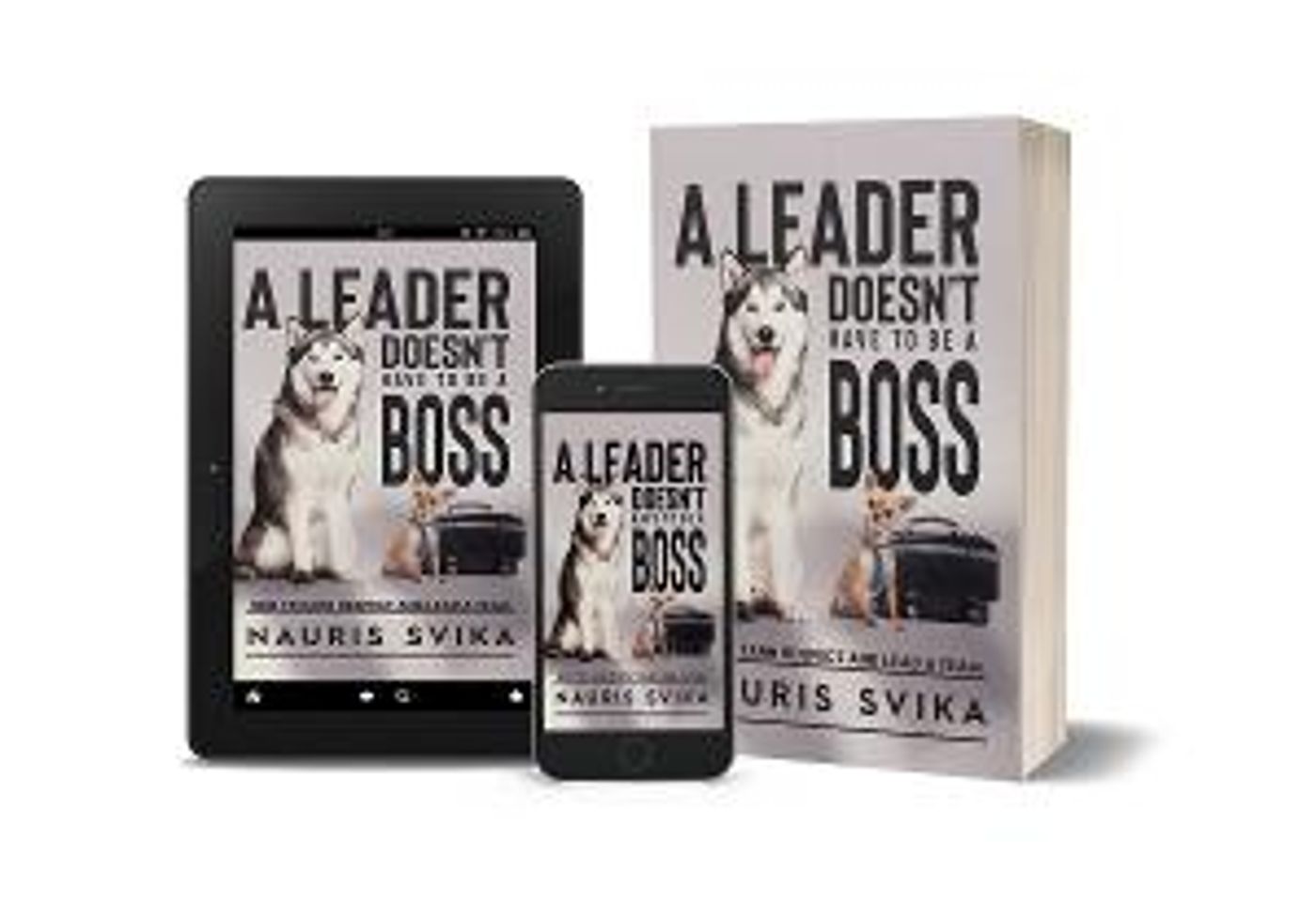 Nauris Svika Releases New Book On Leadership - A LEADER DOESN'T HAVE TO BE A BOSS  Image