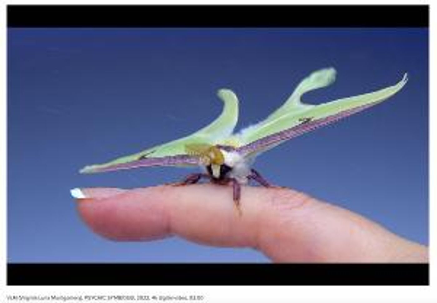 NOoSPHERE Arts Presents REPOPULATIONS: New Horizons  Image