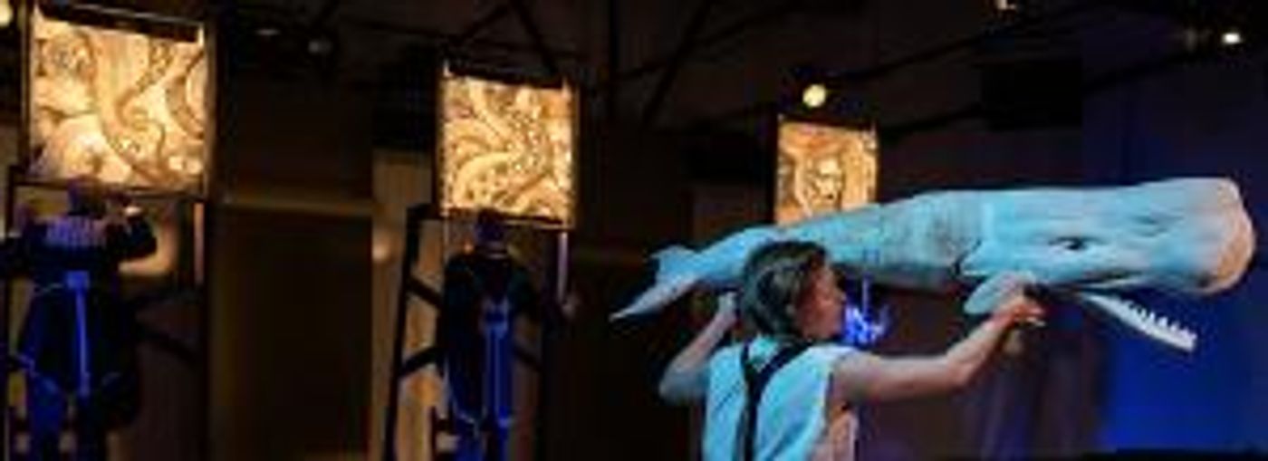 Cabinet Of Curiosity Announces SEA CHANGE  Image