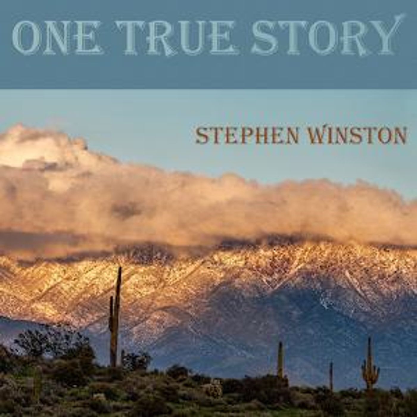 Stephen Winston Releases His New Single 'One True Story' From The Forthcoming Same-Titled Album  Image