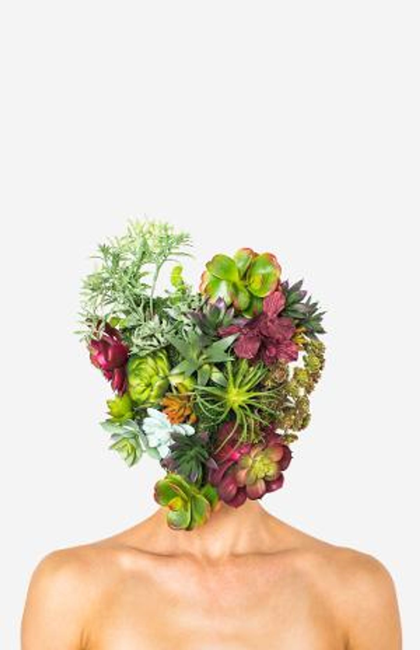 OZ Arts Presents THE TRIANGLE From New Dialect  Image