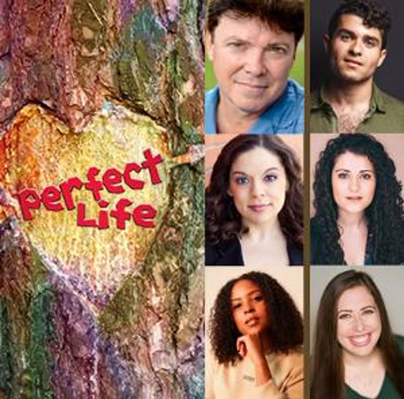 Industry Reading Of PERFECT LIFE, A New Musical Will Be Performed Next Week  Image