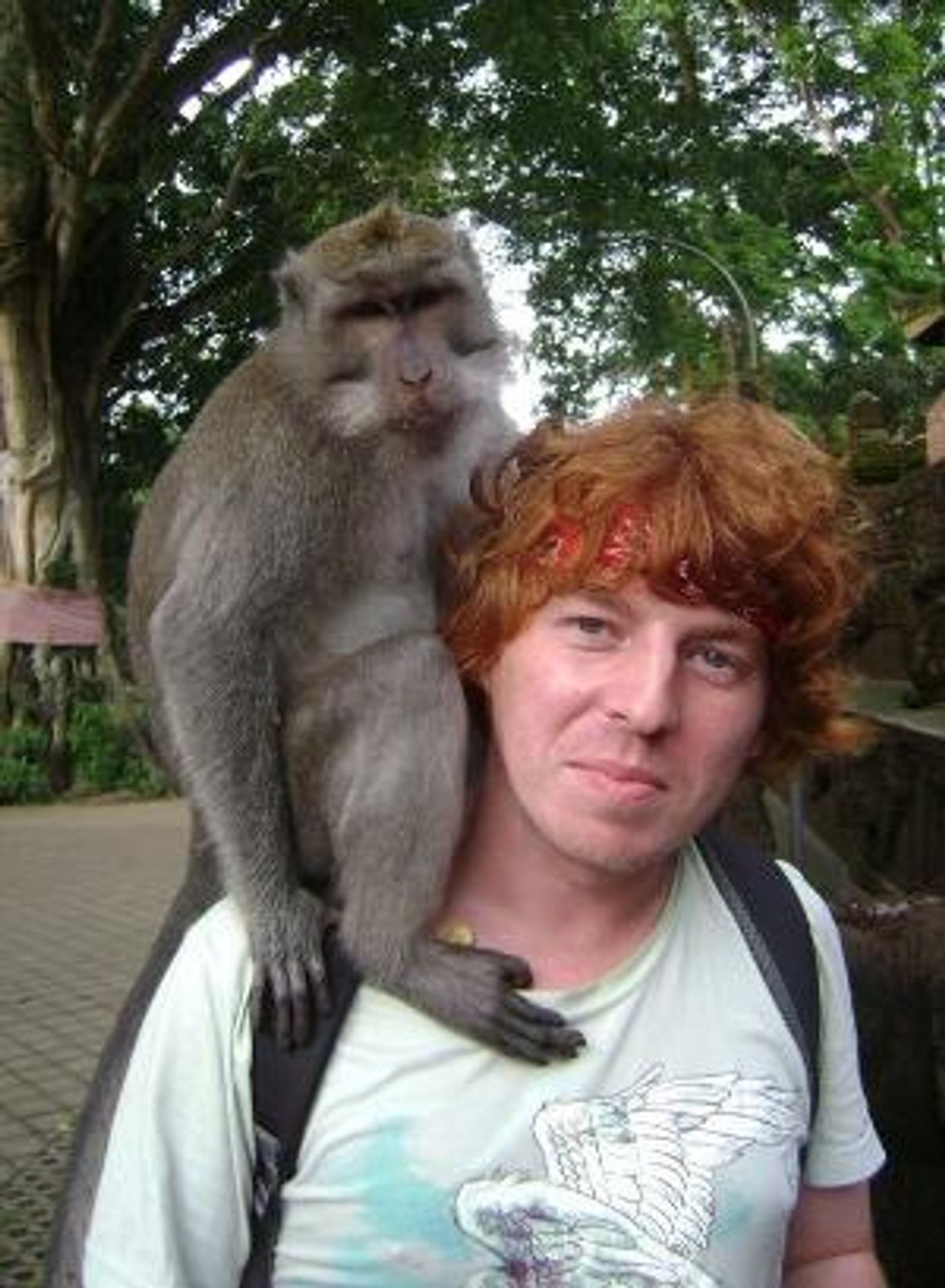 Matt Harvey Brings I GOT BIT BY A MONKEY ONCE to Wellington Fringe 2020  Image