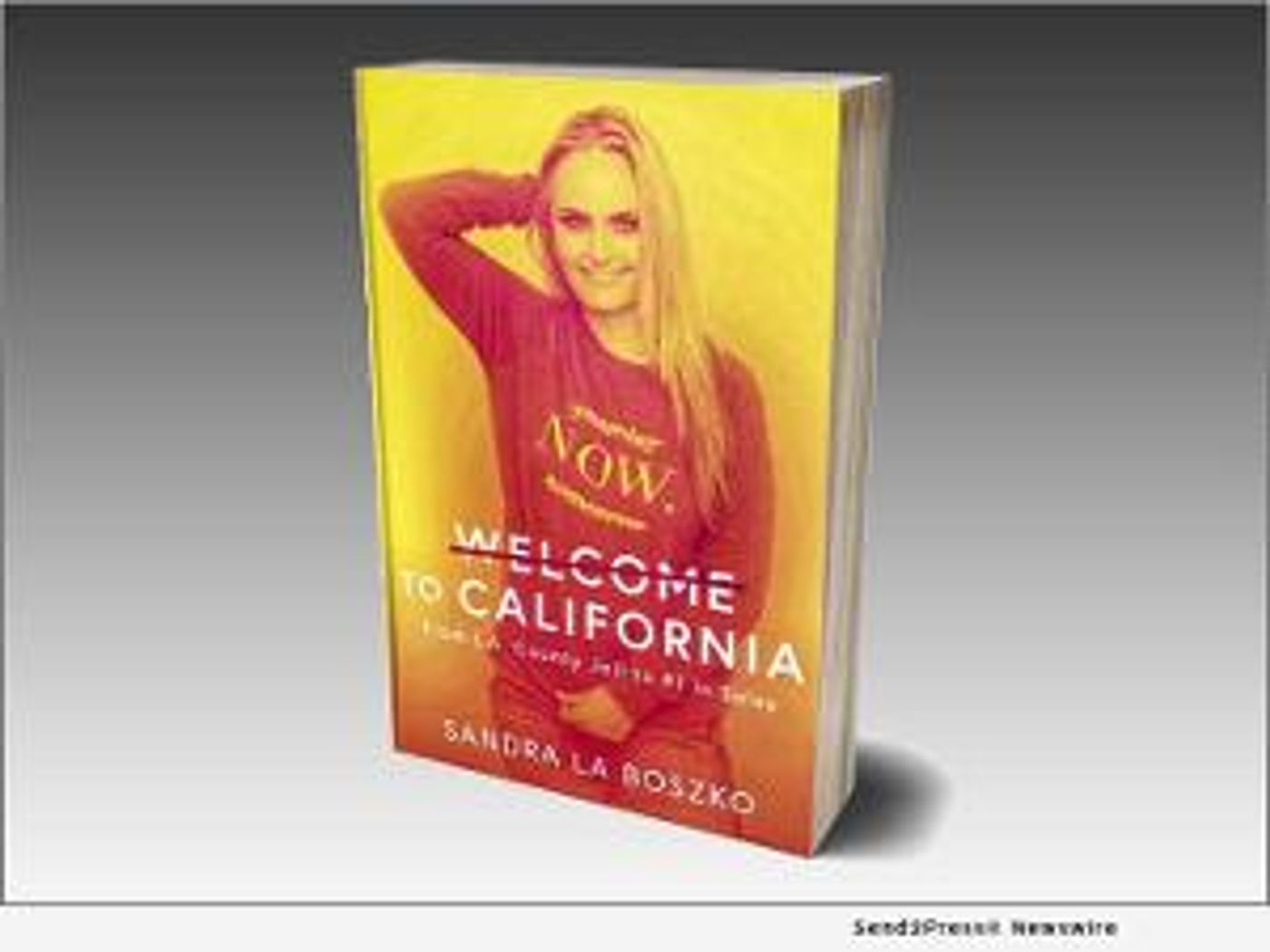 Author Sandra LA Boszko Honored In 2021 Indie Book Awards For Memoir About Social Justice  Image