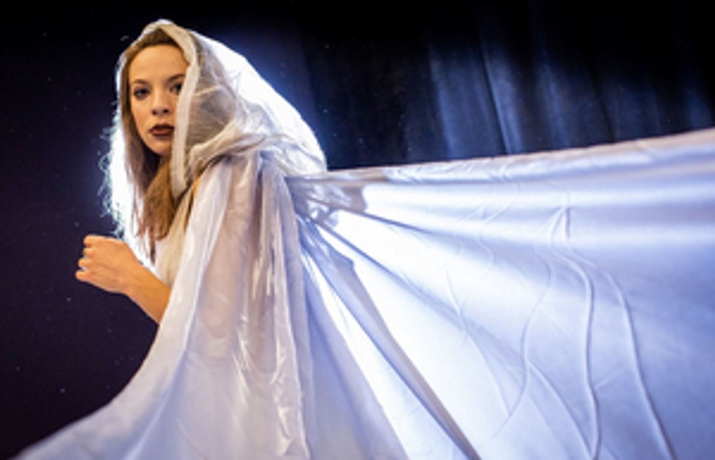 THE SNOW QUEEN Brings Seasonal Magic To Arden Theatre Company  Image
