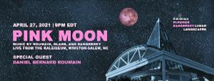 Eleonor Sandresky's Lunar Landscapes Presents PINK MOON Image