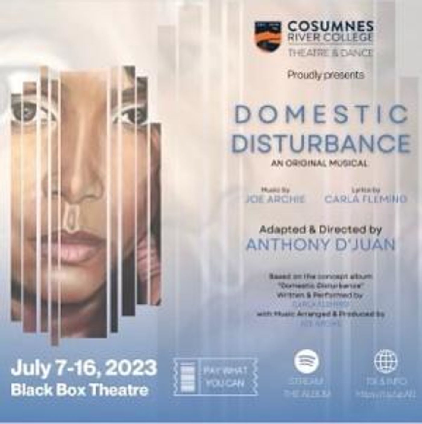 New Musical DOMESTIC DISTURBANCE Premieres At Black Box Theatre, July 7-16  Image