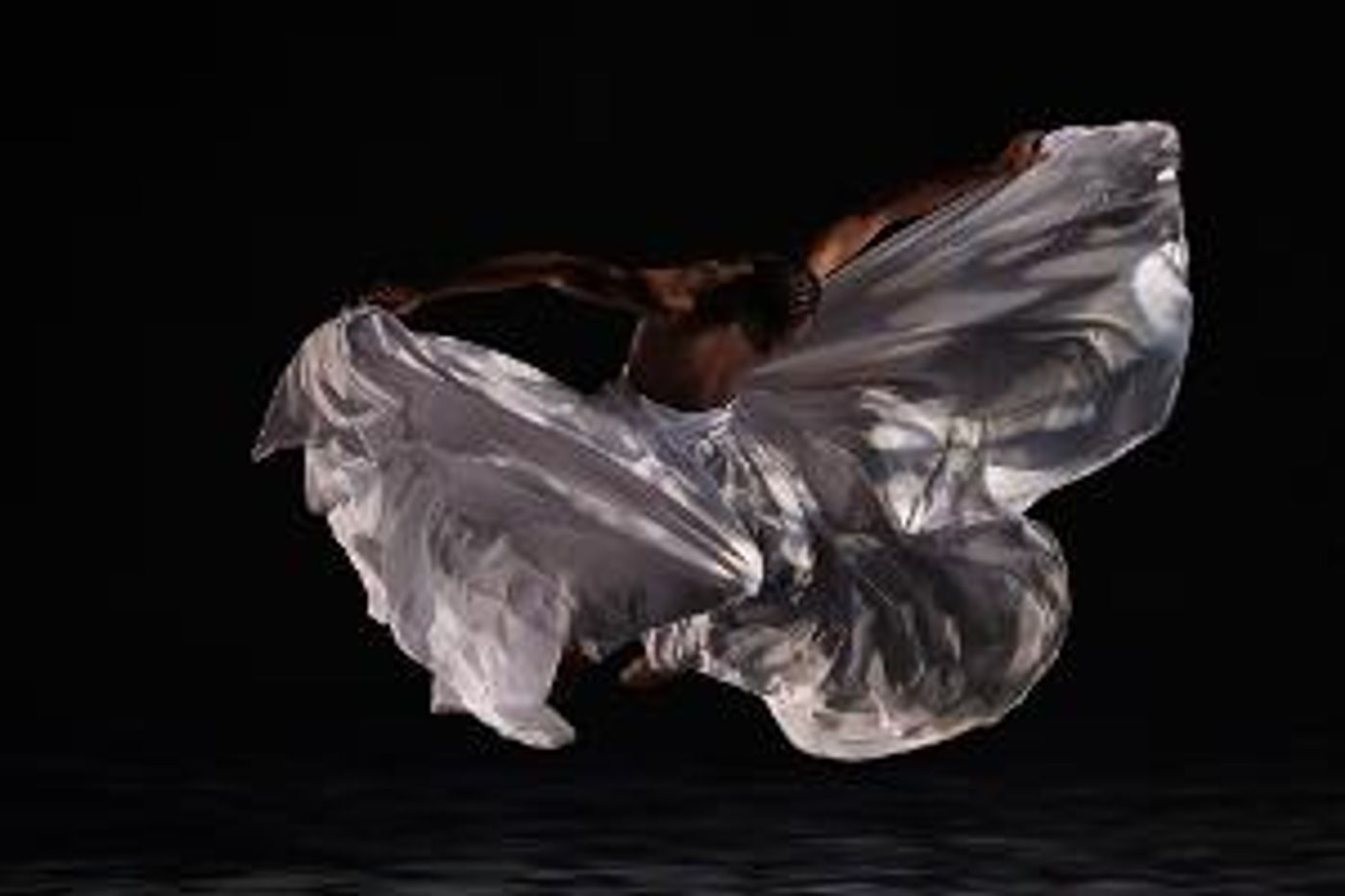 Go Behind-the-Scenes With Dimensions Dance Theatre Of Miami At The Moss Center, March 3-5  Image