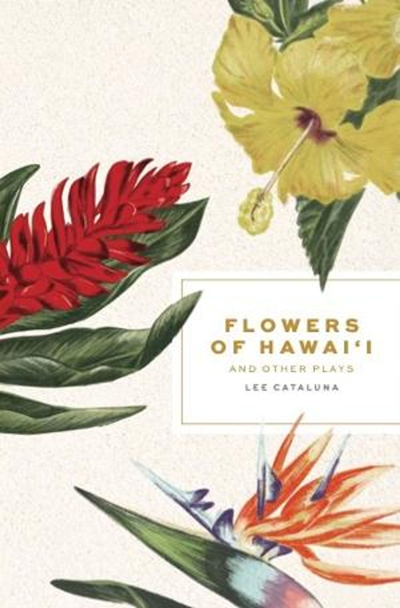 Book Of New Plays By Lee Cataluna Brings Hawaii Life From The Page To The Stage  Image