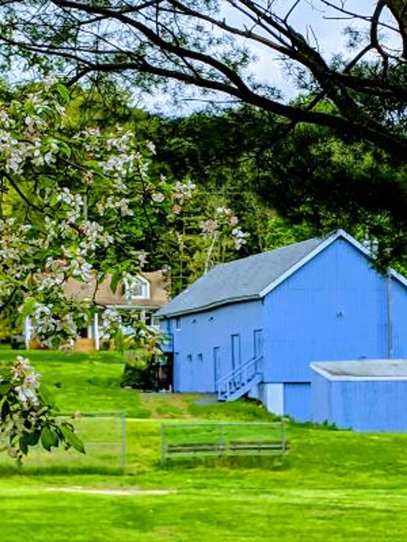 Penguin Rep Theatre Moves ONE STEP CLOSER To Resuming Regular Programming  Image