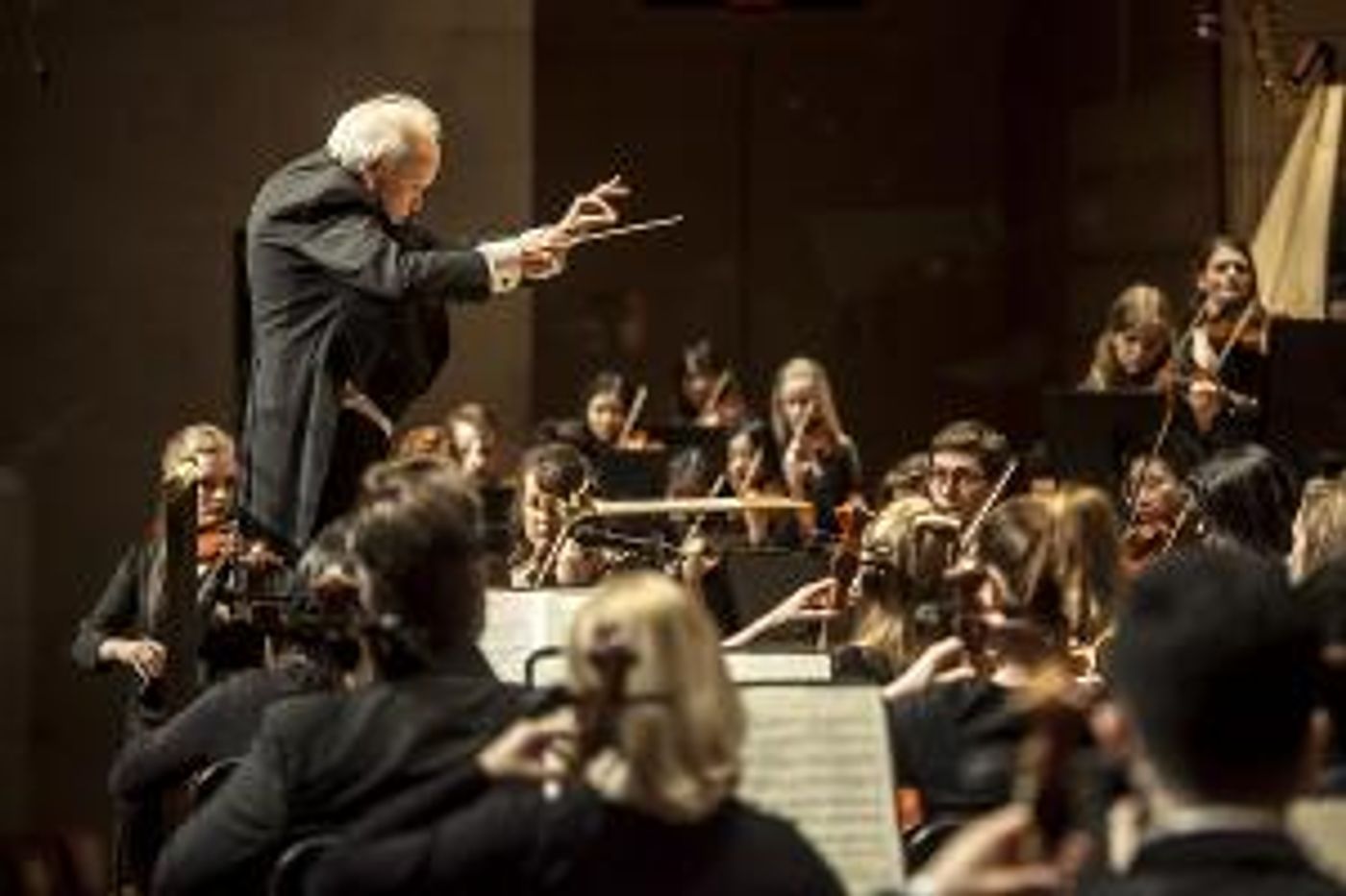SMU's Meadows School Of The Arts Presents MEADOWS AT THE MEYERSON  Image