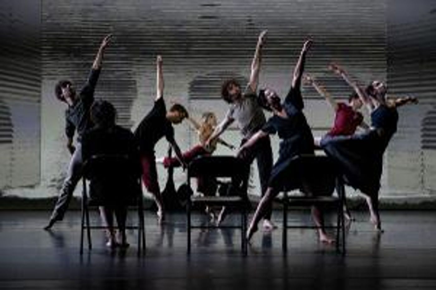 ZviDance Presents The World Premiere Of MIGRATIONS  Image