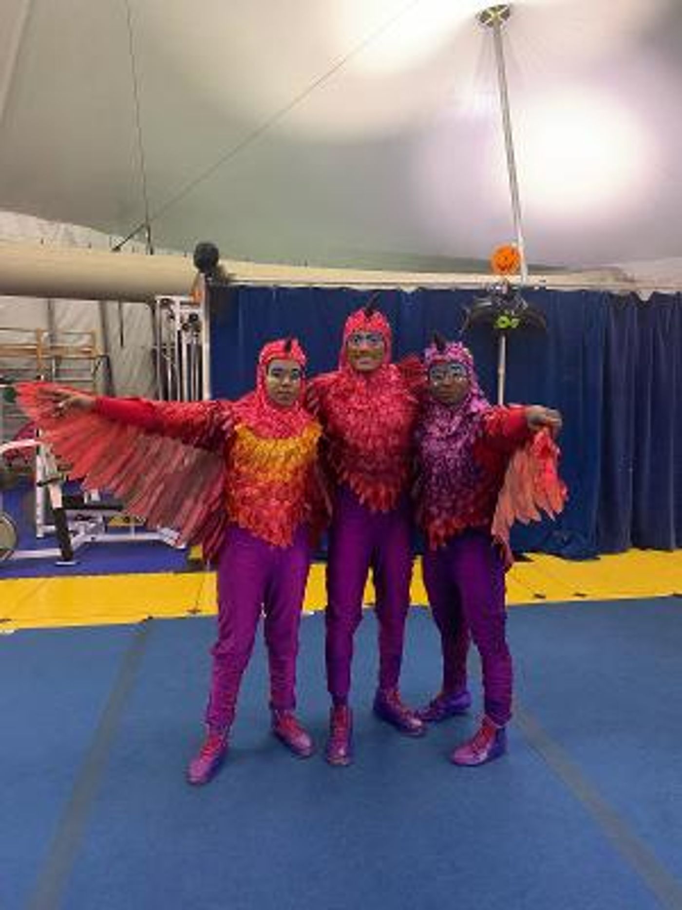 Four Of Circus Harmony's Flying Children Land At Cirque Du Soleil!  Image