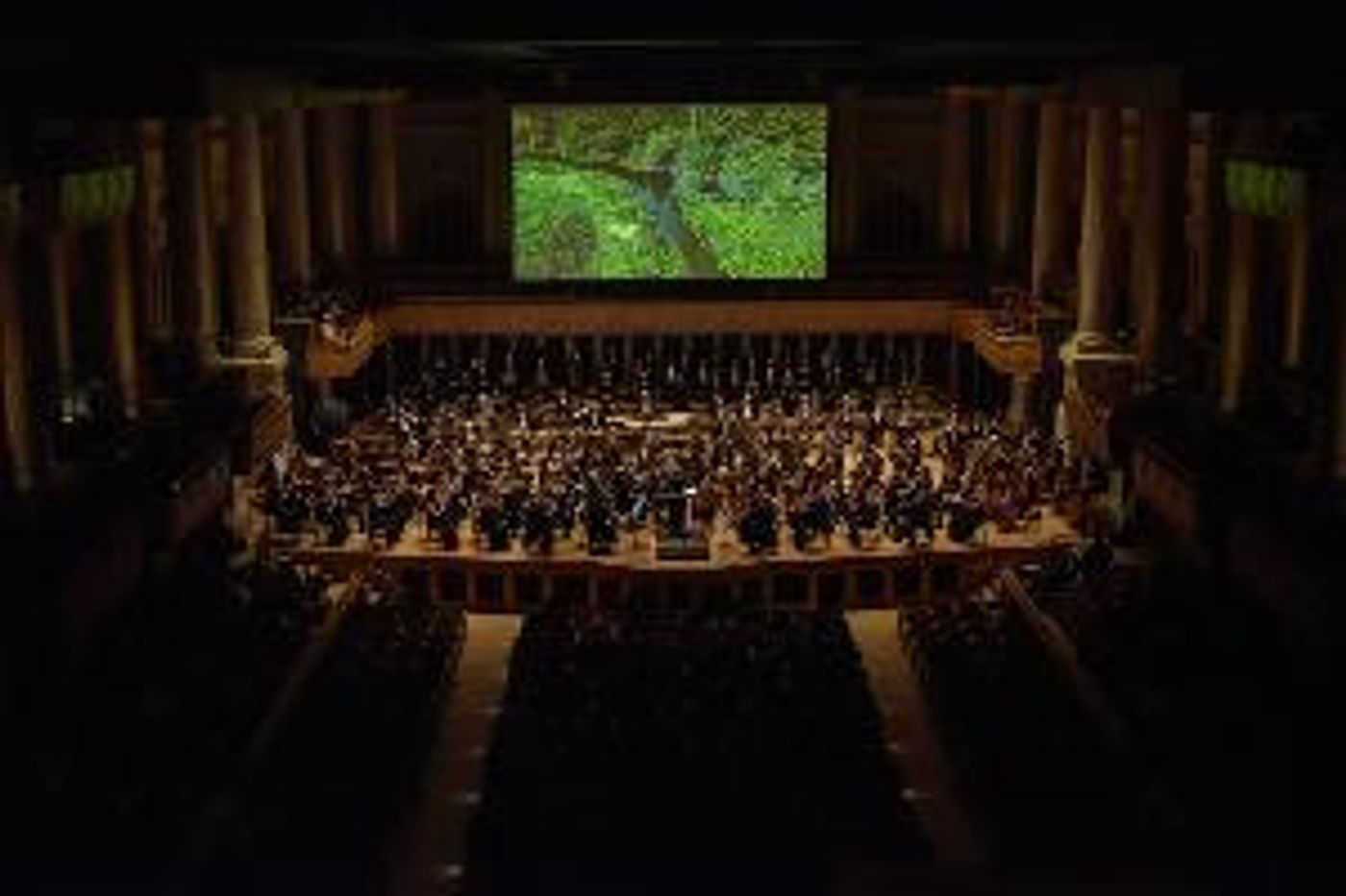 The São Paulo Symphony Orchestra Presents THE AMAZON CONCERT: A Magical Evening, Not To Be Missed  Image