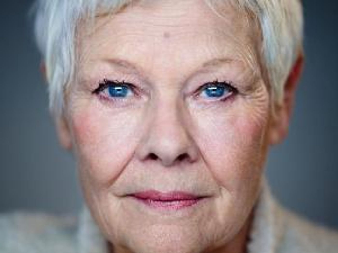 The National Arts Club Presents an Online Conversation with Dame Judi Dench  Image