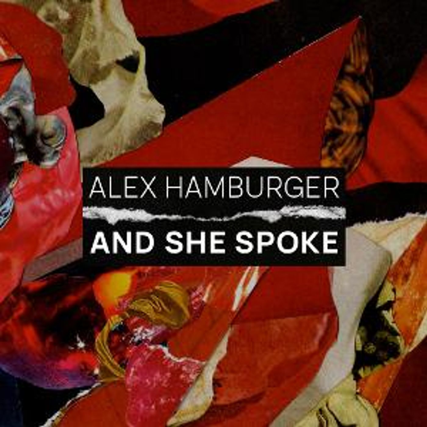 Flutist And Composer Alex Hamburger Releases Debut Record AND SHE SPOKE  Image