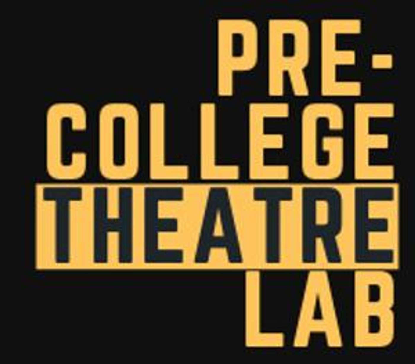 Summer Theatre of New Canaan Presents Two Week MasterClass/Workshop Program  Image