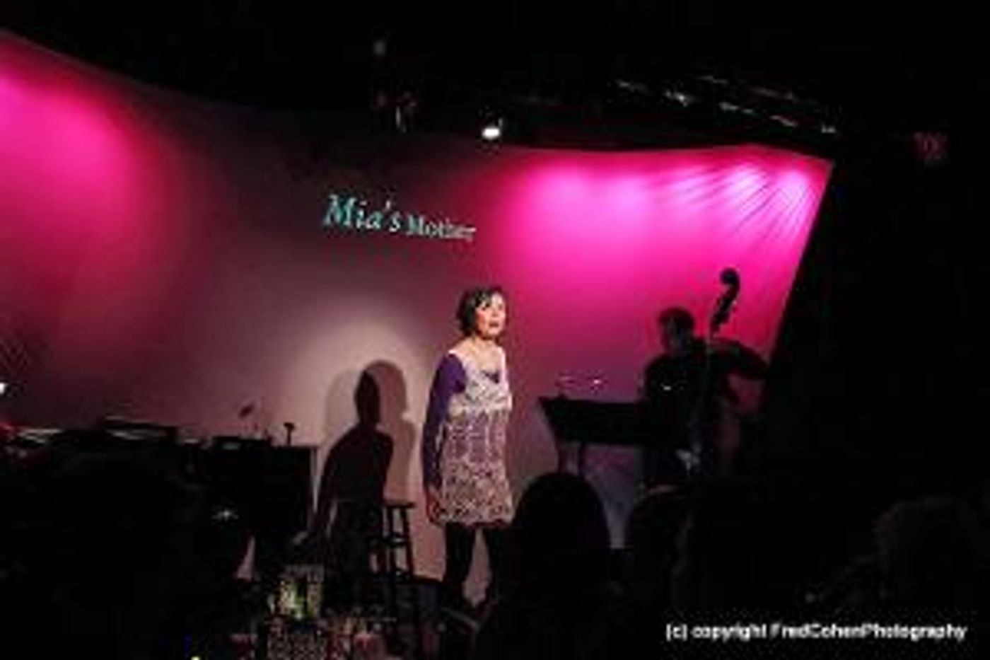 Rosemary Loar Stars In STING*CHRONICITY At Centenary Stages Fringe Festival  Image