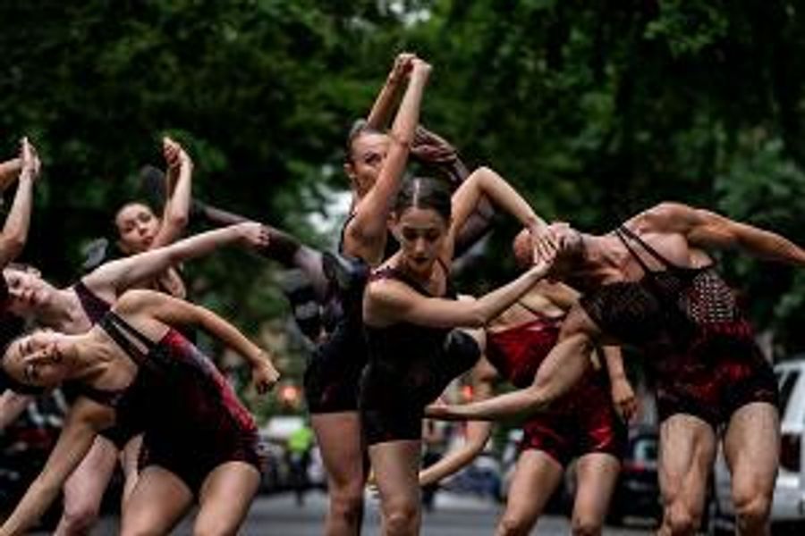 Amanda Selwyn Dance Theatre Announces Free Open Rehearsal Of Work-in-Process  Image