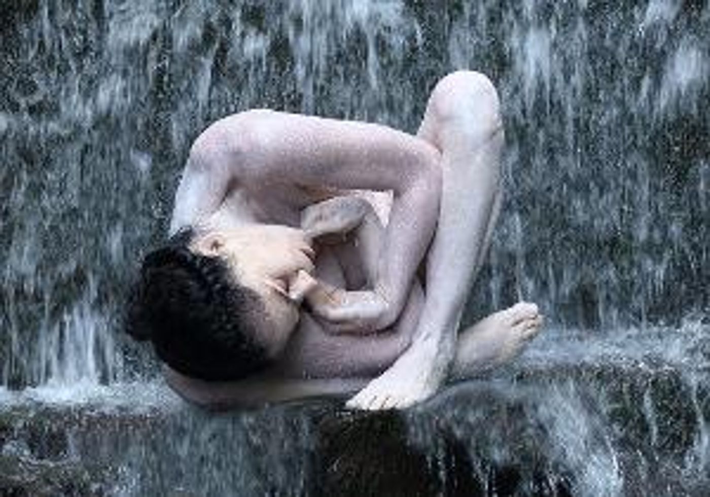 Maureen Fleming Company Presents Live DANCES FROM HOME This Month  Image