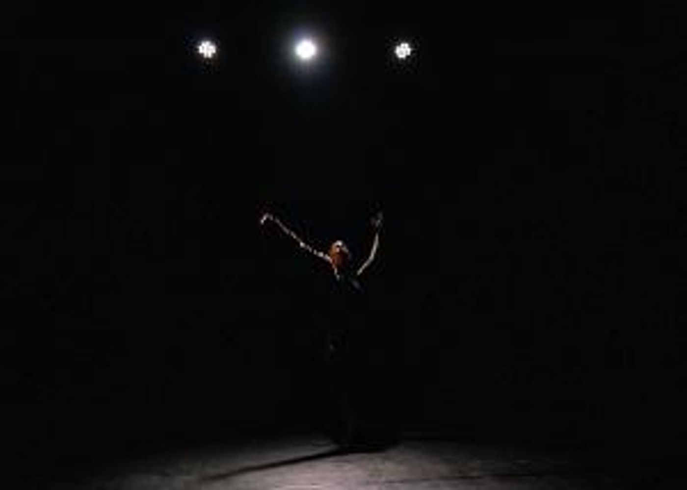 Arts On Site Announces February Performances  Image