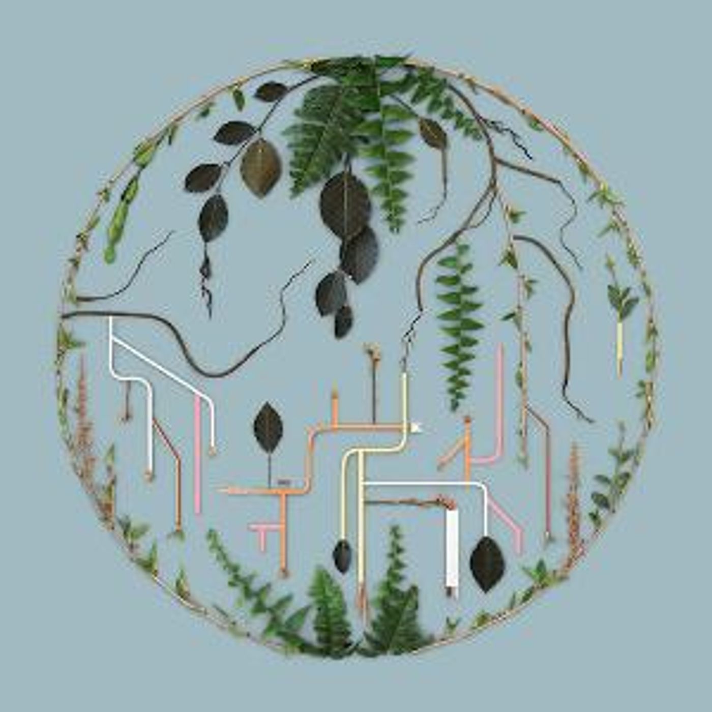 El Búho Release 'Tributaries Vol. 2' Remix Compilation With Wonderwheel Recordings  Image