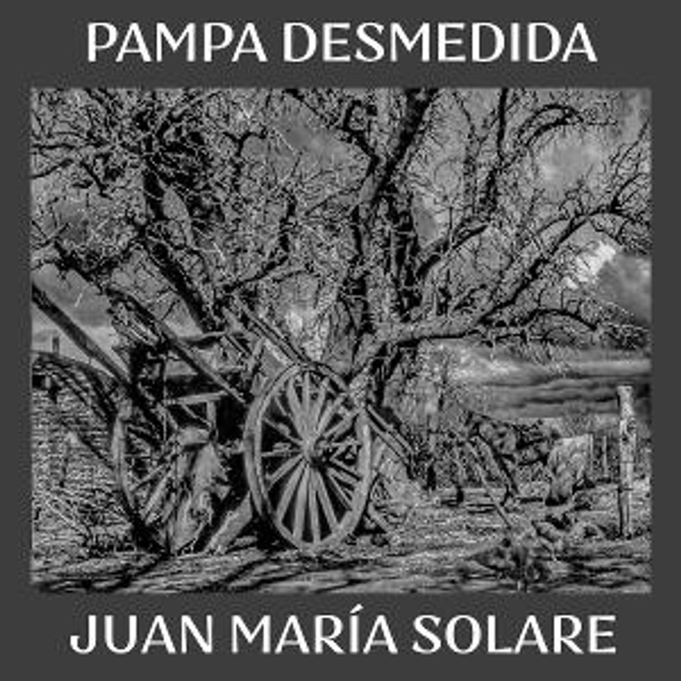 Juan María Solare Releases 'Pampa Desmedida'  Image