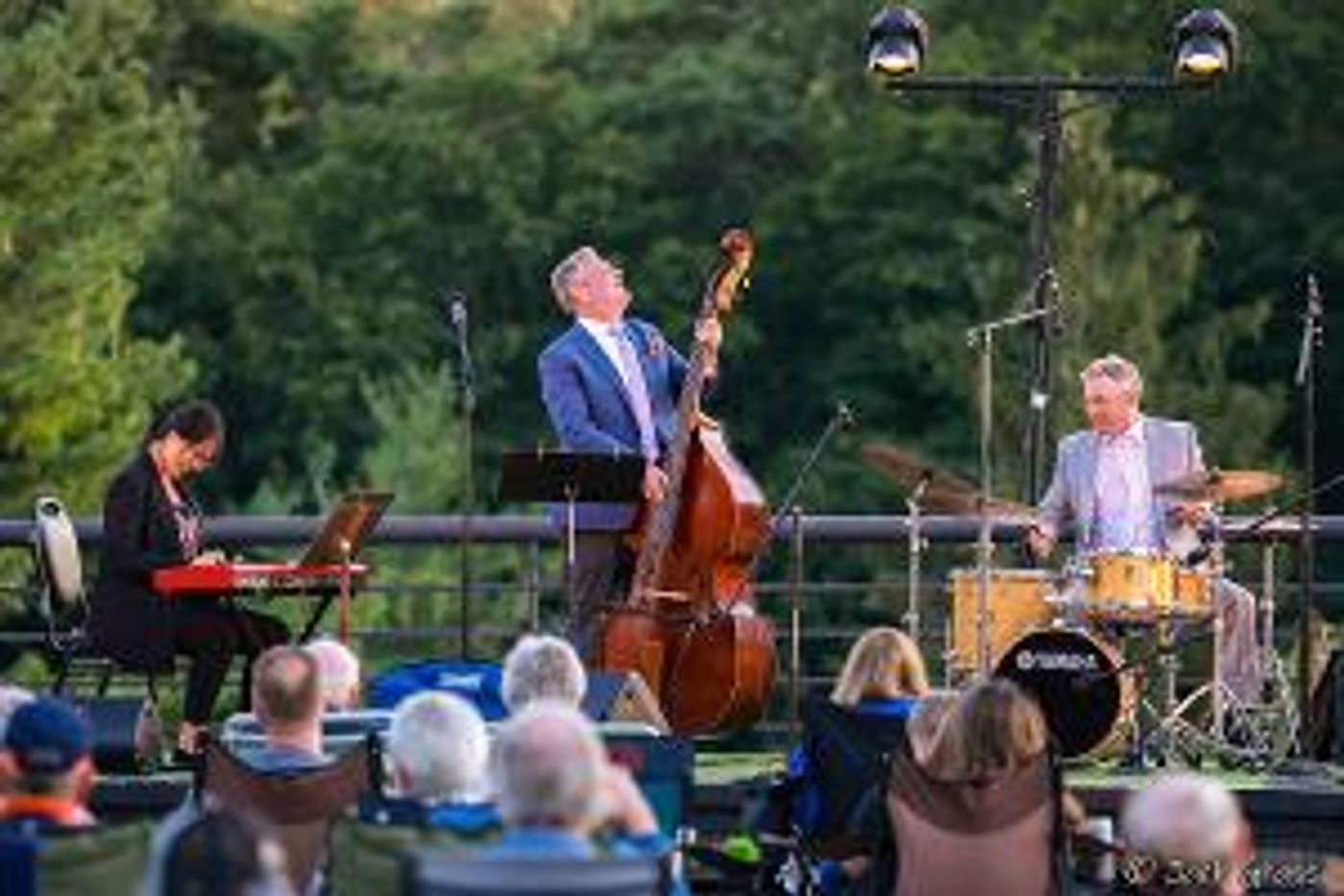 Morris Museum to Present Lot Of Strings Music Festival And Jazz At The Back Deck  Image